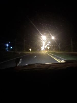 NetiKeiy's profile picture. โสด