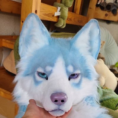 kemosyeahausu's profile picture. 🪡@TrianonCreation @kitora7130 #創造トリアノン トリアノンから来たキメラっ子↓要素は固定へ 元気で明るくて人懐っこいハスキーの女の子！ (ちょーとだけ嫉妬深いかも)No.10 みんな沢山かまってね✨✨🐶🩵