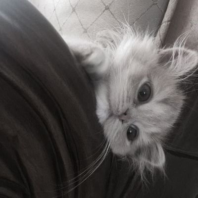 starsandnotes's profile picture. 