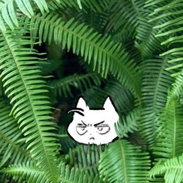 _hx6j18's profile picture. 成人済