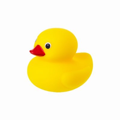 cityduck2025's profile picture. 장르특화 글 피드백 커미션 받습니다.