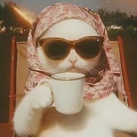 Banana_Prompts's profile picture. 🔥 Your daily dose of viral comedy & memes!
😂 Laughter guaranteed or your scroll back!