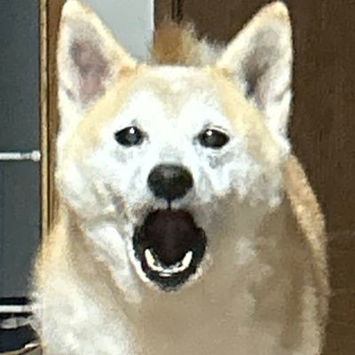 umumcatnyan's profile picture. くるしみ～！！！！！！！！！！！！！！！！！！！！！！！！