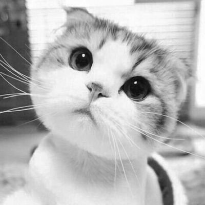 namwon1206's profile picture. เปิดทวิตเพราะDOTS//ตัวอย่างคัทซับสั้นๆ//
醉玲珑// 丽姬// 烈火如歌// 小女花不弃// 冰糖炖雪梨// Hottest​😆😆 
Cr.on pic