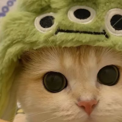 08JULY2024_PSD's profile picture. #PerthSanta 🖤🤍.  #DOMIIA ❤️.  #nuthong 🥜🍦.  นิยาย #Perfect10Liners 🐯🐶。/ ออริจินอล #LoveYouTeacherSeries ☁️☀️。/ เว็บตูน #TheSpookyLoveTale