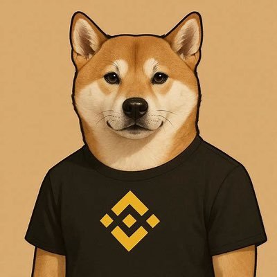 binancedoggo's profile picture. The Doge of BSC has arrived 🐕💛