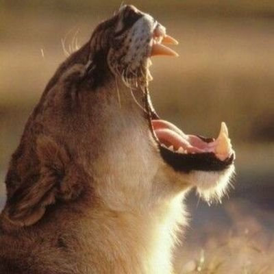 vershach999's profile picture.