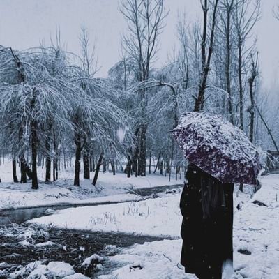 Kastoer_'s profile picture. Troubled youth .