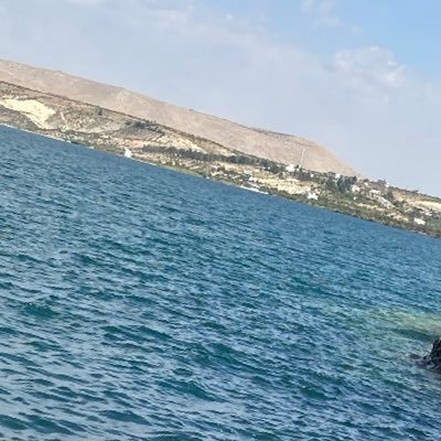 u78496's profile picture. 