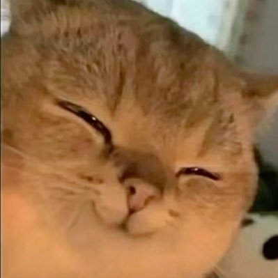 lifeiing's profile picture. Stand for Taylor Swift - Enhypen - DMD 🧡