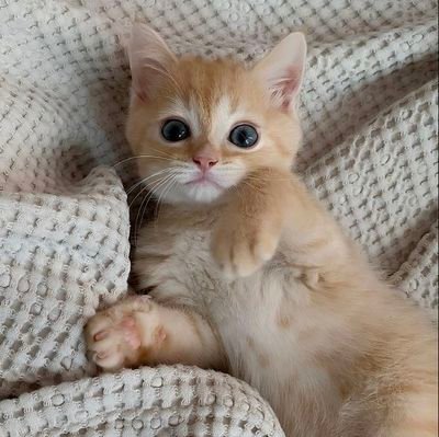 LeeJunho18943's profile picture. 