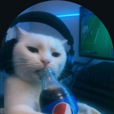 mkkowshik's profile picture. 