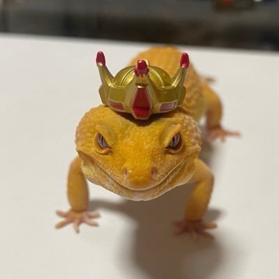 mingofdom's profile picture. 