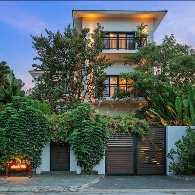 DinhVu2020's profile picture. 