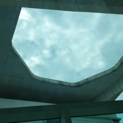 zozorokoa's profile picture. 