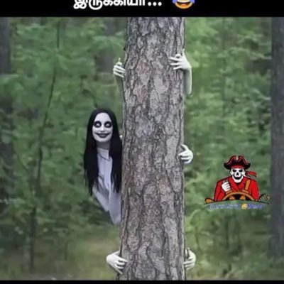 GAYAdmf73's profile picture. கொஞ்சம் திமிர்