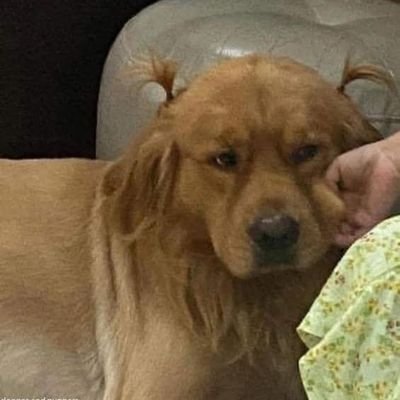 HKokrum85759's profile picture.
