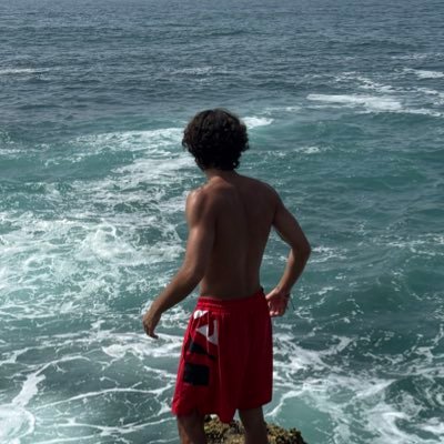 stg0j0's profile picture. A fleur de Paix 🇵🇸