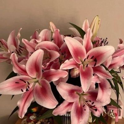 REEMA548691's profile picture. 