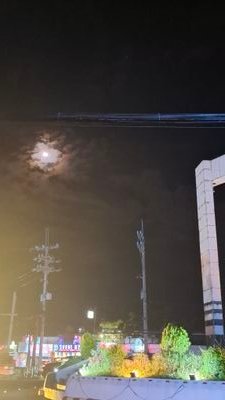 shadow_libog's profile picture. 