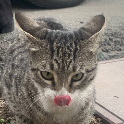 _noorina's profile picture. 🌙✨عشق ثبت لحظه 📸