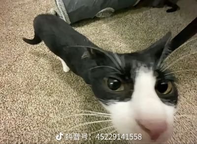 ZAsK1SJpvl82651's profile picture. 