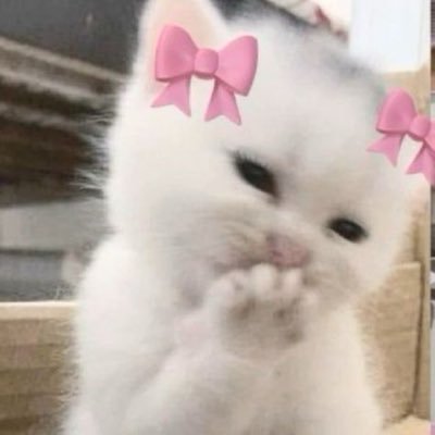 Lowpatience31's profile picture. 