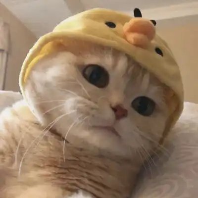 chuanfufei3008's profile picture. 