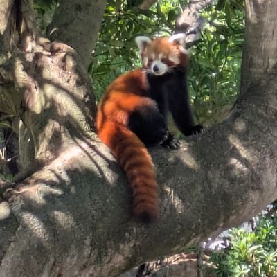 BapMvJs3os83287's profile picture. 20代会社員です。連絡はテレグラムでお願いします。