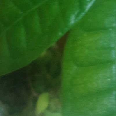 WaWaW5akoichi's profile picture. 田中圭です