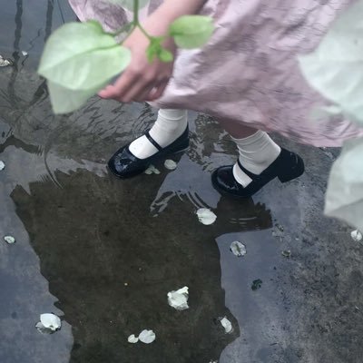 gxtmoons's profile picture. roses growing backwards in my yard , rain rising up to the sky