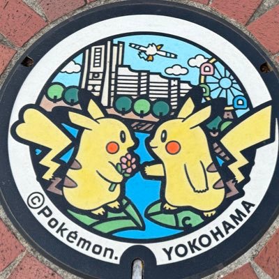 ikka_dayo_kasi3's profile picture. 横浜でPCGやってます