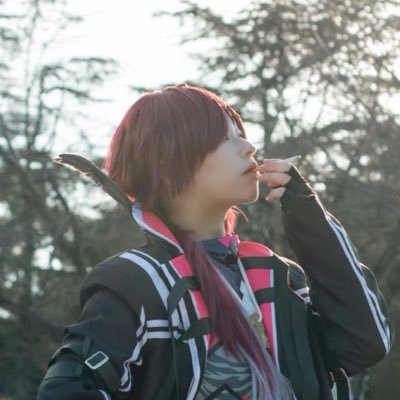 乃猫