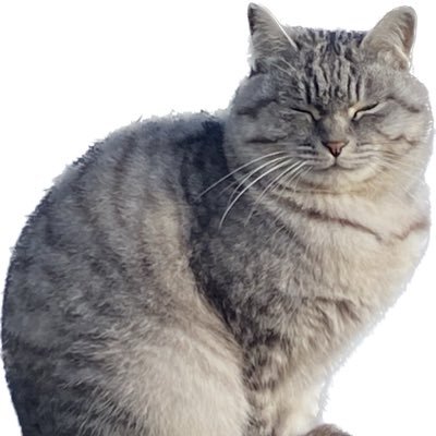 kuhiji2024's profile picture. PHP Laravelがメイン 最近React始めました