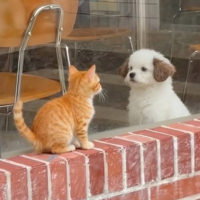 melon_nokcha's profile picture. 변우석을 좋아하고 사랑하고 아끼고 애정하고 연모합니다
📺 드라마도 봐요