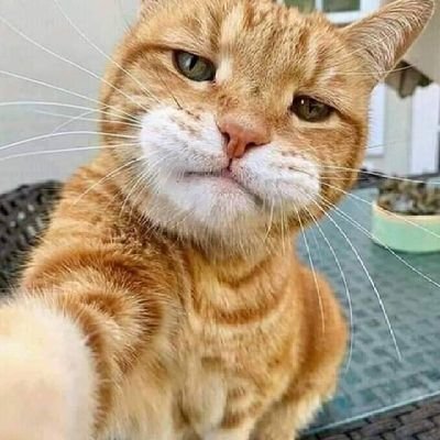 infantjrome's profile picture. i love movies