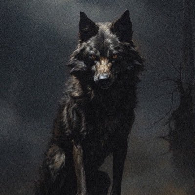 Jonah386073599's profile picture. Founder @AgentSploots NFA. Try my app: https://t.co/sKStjBCXCB