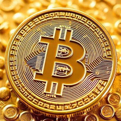 NevoLankri66216's profile picture. 