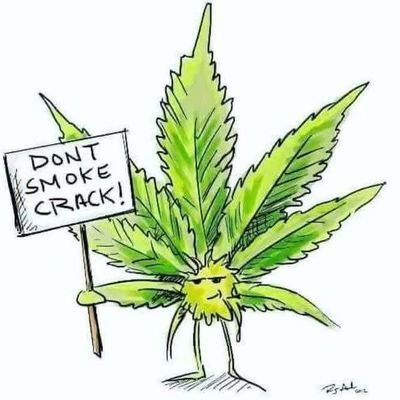 siegelzachary0's profile picture. holding a sign sometimes walk for mental health