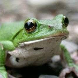 sasadon1969's profile picture. みかん丼を19杯たべたので、この名前です。
#秋吉優花
#人生の宿題は終わらない