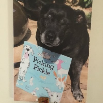 pickle1450's profile picture. Honesty passionate and protective from the wrongdoer’s nicely bonkers ,awesome cleanser 💪🃏DOGS are magical 🃏💯❤️