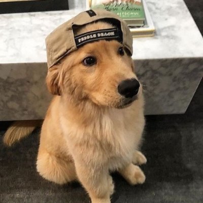pongsie100x's profile picture. Little fish in a whale's world