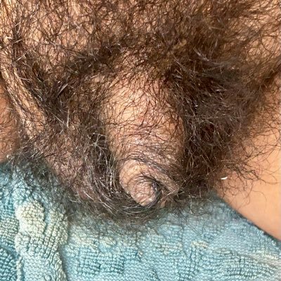 PrinceCharlesMX's profile picture. 