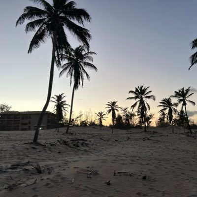 alexassis10's profile picture. https://t.co/gbwJxjSryK