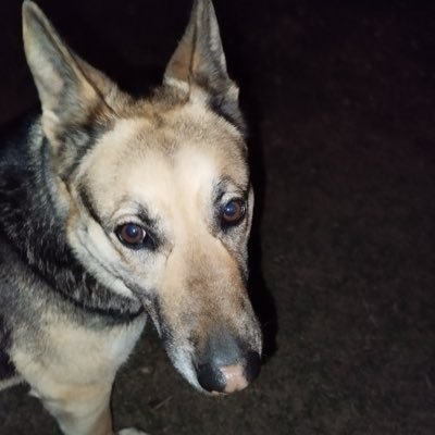 BulbanSin33895's profile picture. 