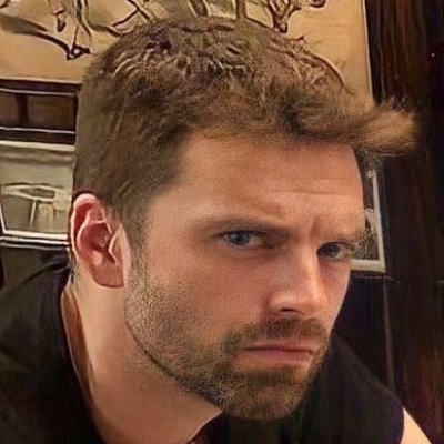 MoreBuckyBarnes's profile picture. Sebastian Stan Fan Account