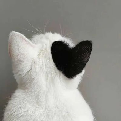 Solo69mix90's profile picture. Vive y deja vivir...