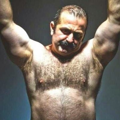 bearbellchristy's profile picture. 