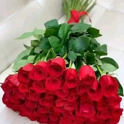 Haiderpti786's profile picture. open minded