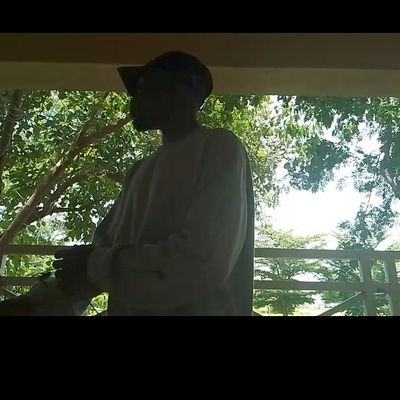 just_henry14172's profile picture. still figuring stuff out 🌻